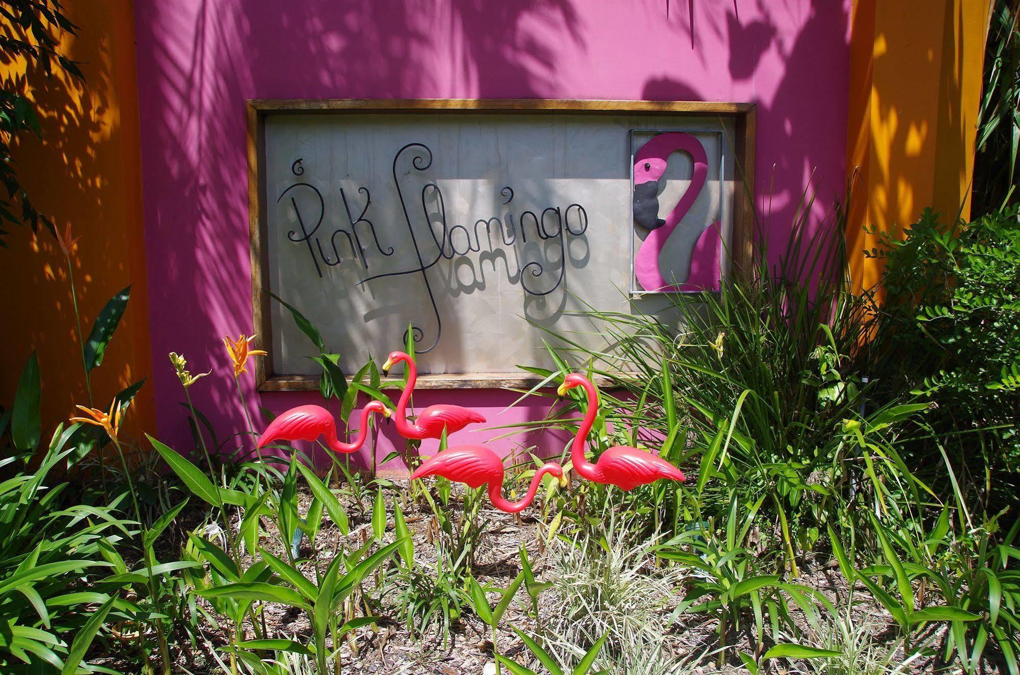 Pink Flamingo 4* Port Douglas