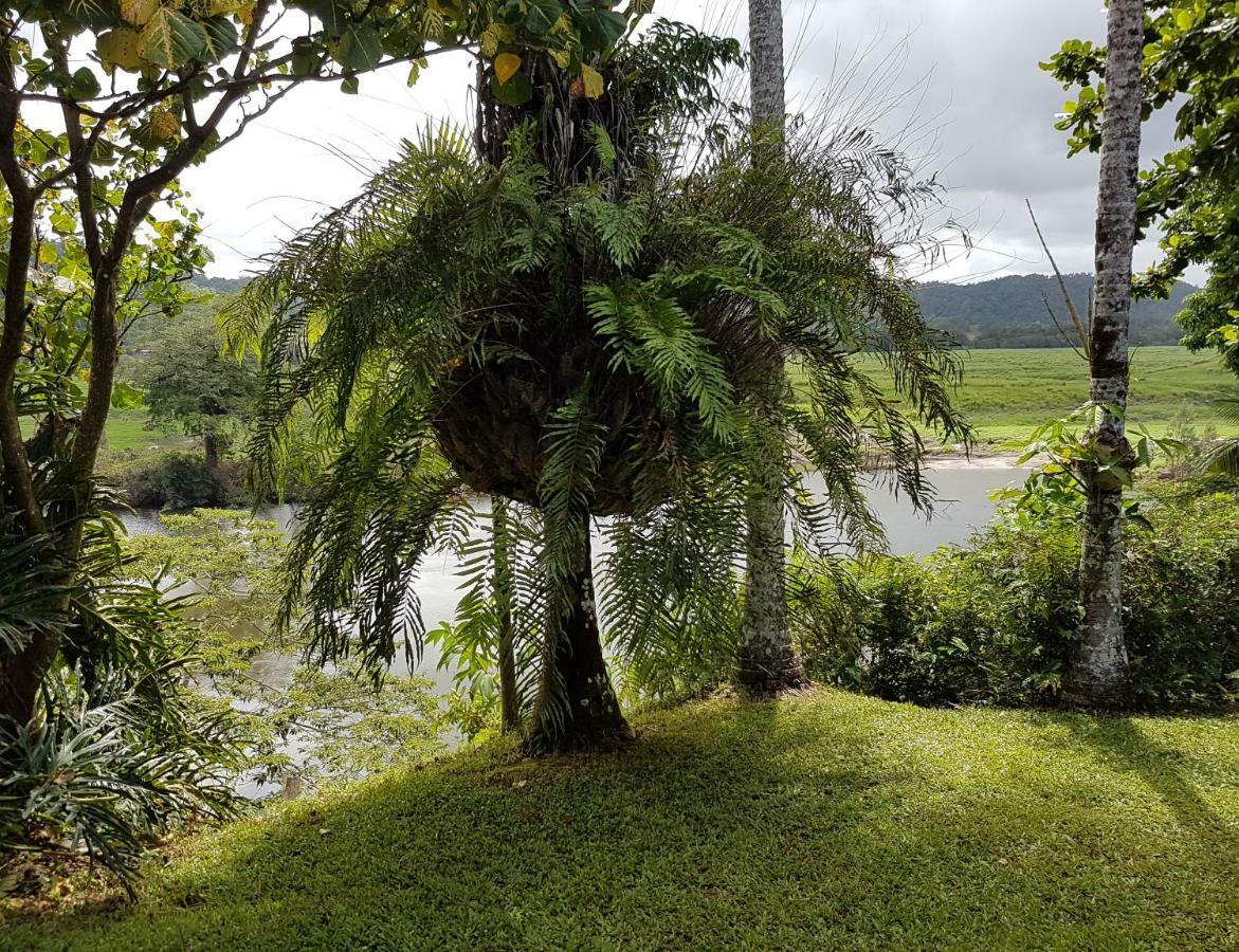 Daintree Village Bed & Breakfast Port Douglas