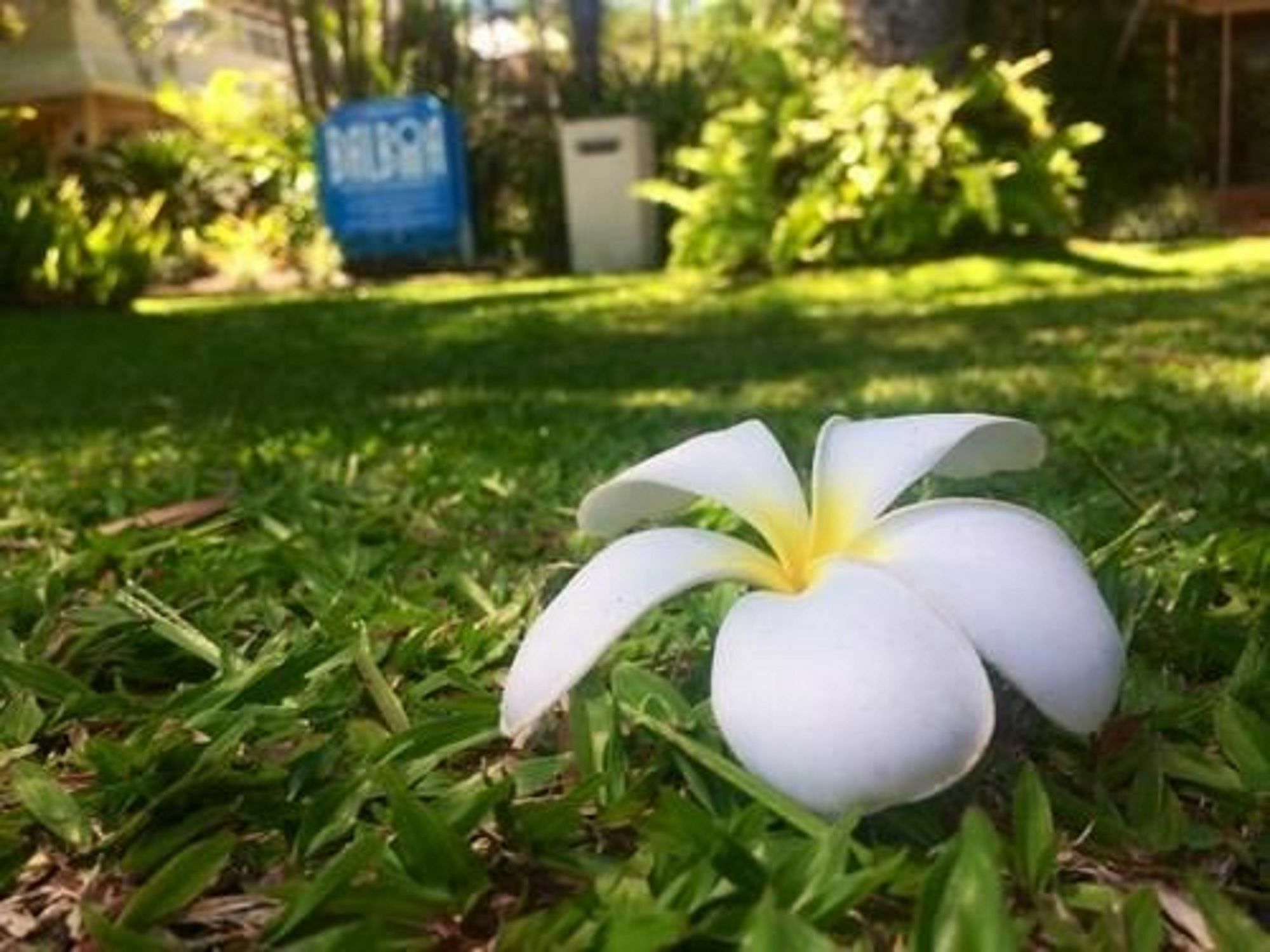 Balboa Aparthotel 4*
