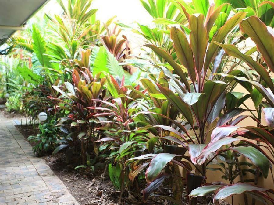 Lazy Lizard Motor 3* Port Douglas