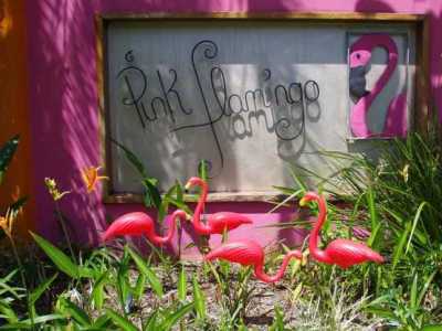 Pink Flamingo Resort 4*