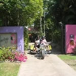 Pink Flamingo Resort