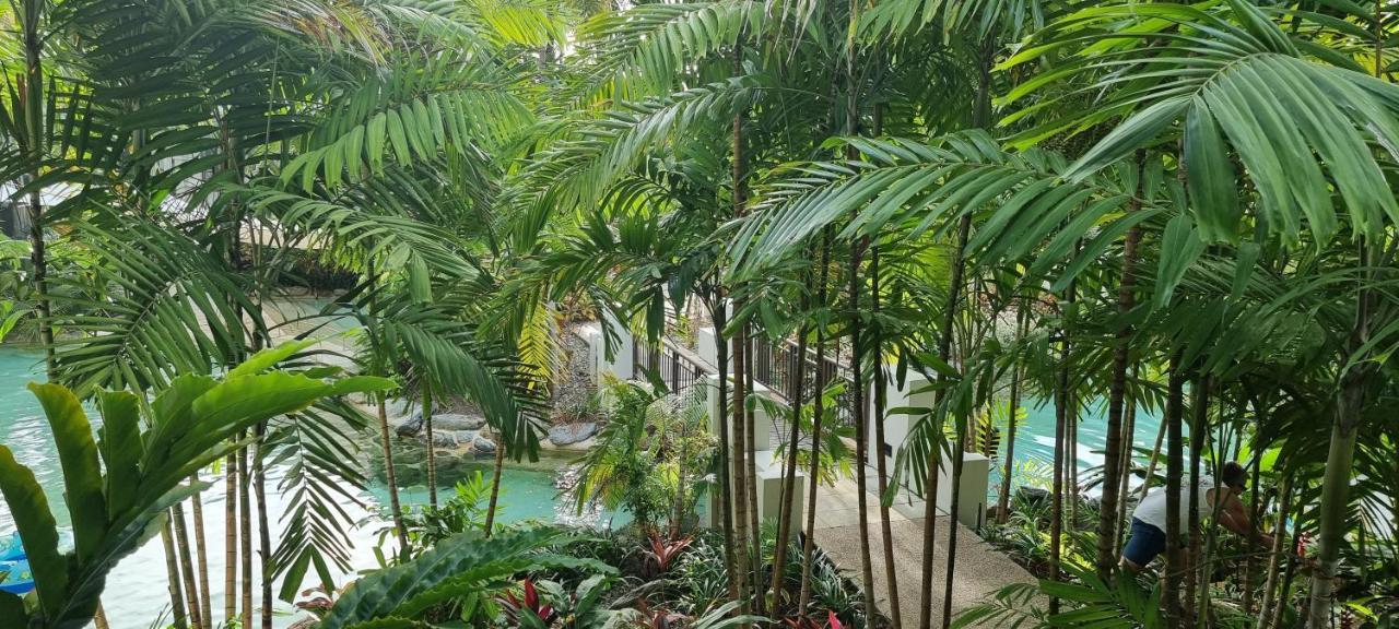 Temple & Port Douglas