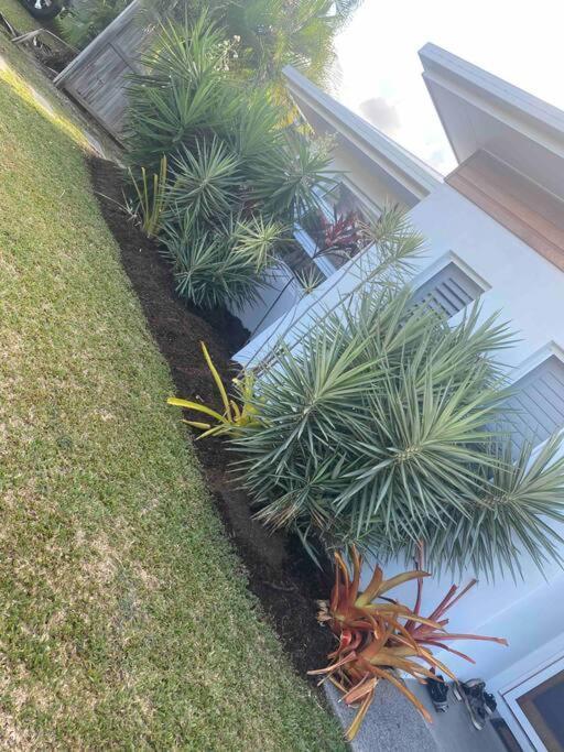 Beautiful Large Available In Tropical North Queensland * Port Douglas