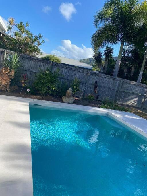 Beautiful Large Available In Tropical North Queensland