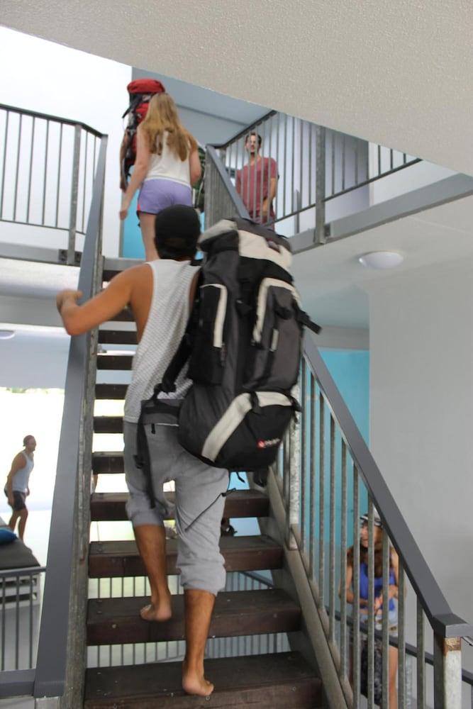 Hostel Backpackers