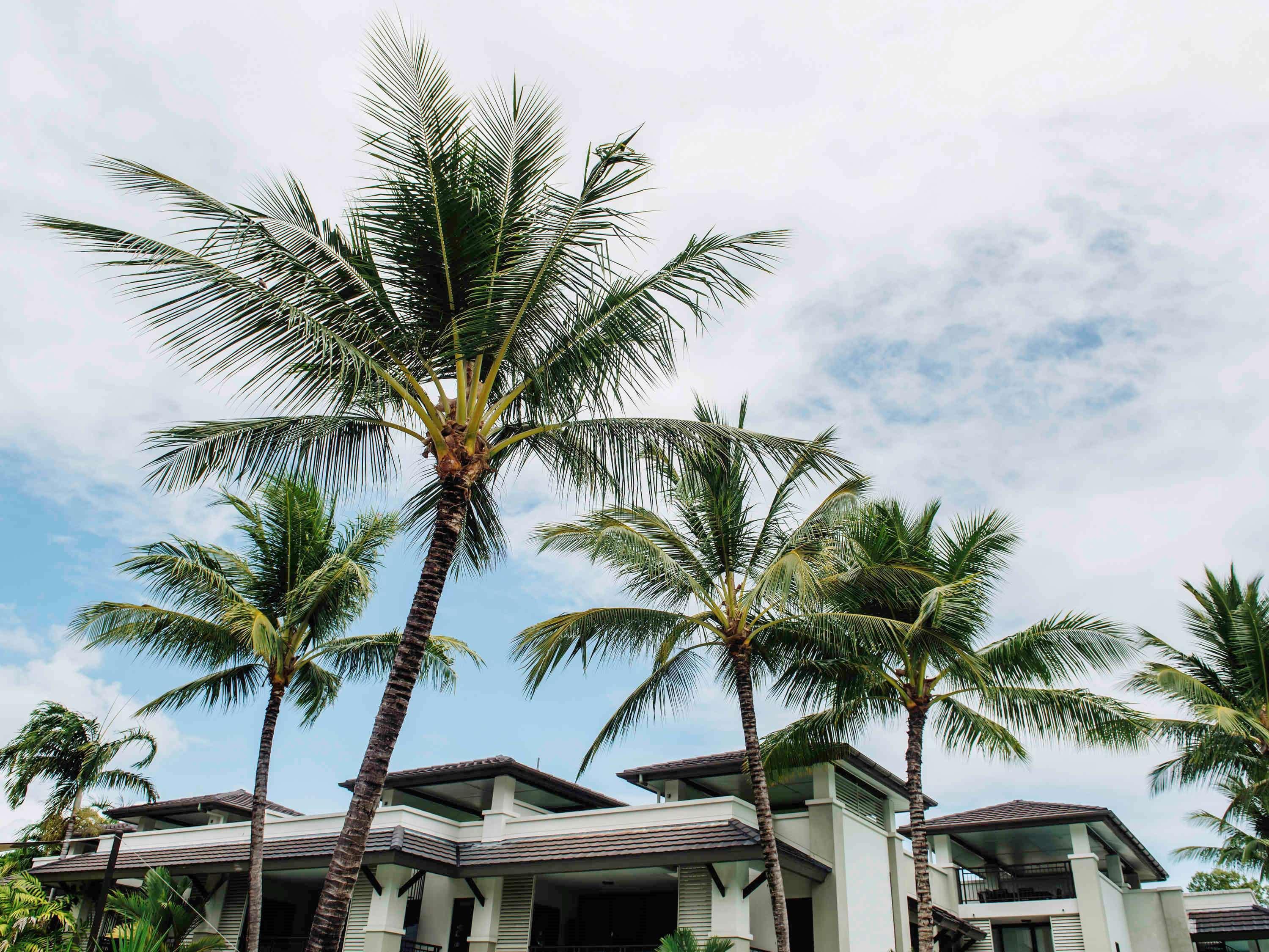 Resort Pullman Sea Temple And Port Douglas