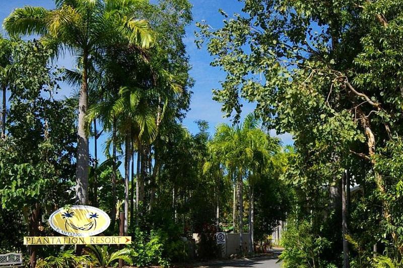 Plantation