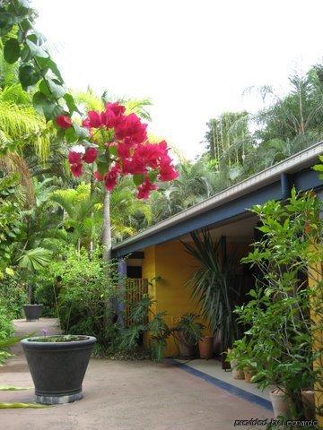 Pink Flamingo 4*