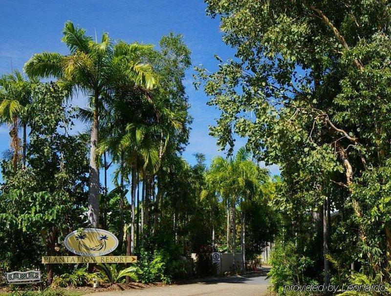 Plantation 3*