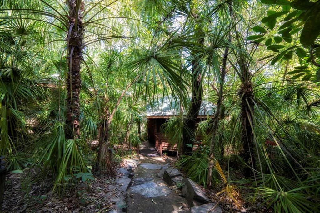 Thala Nature Reserve Port Douglas