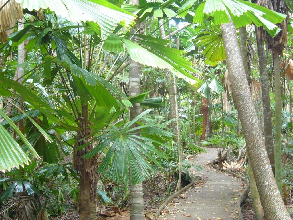 Retreat Aparthotel 3*