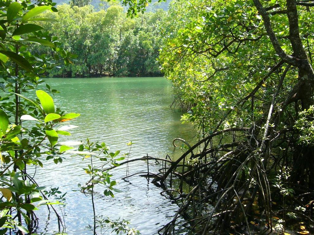 Retreat 3* Port Douglas